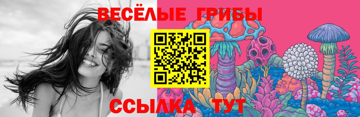 Галлюциногенные грибы прущие грибы Камышин
