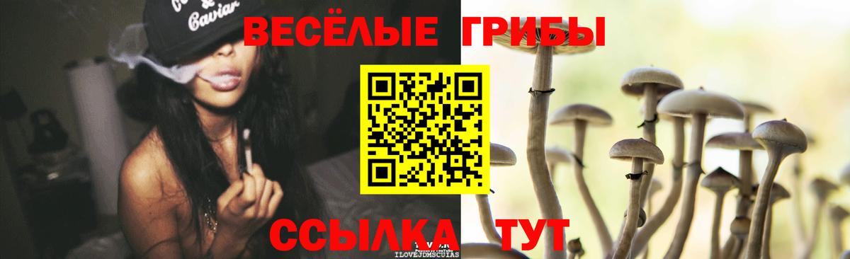 Псилоцибиновые грибы мицелий  Вход с VPN  Псилоцибиновые грибы прущие грибы  Камышин 